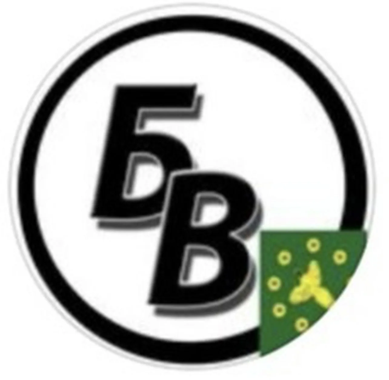 Бикинский вестник — канал в мессенджере MAX