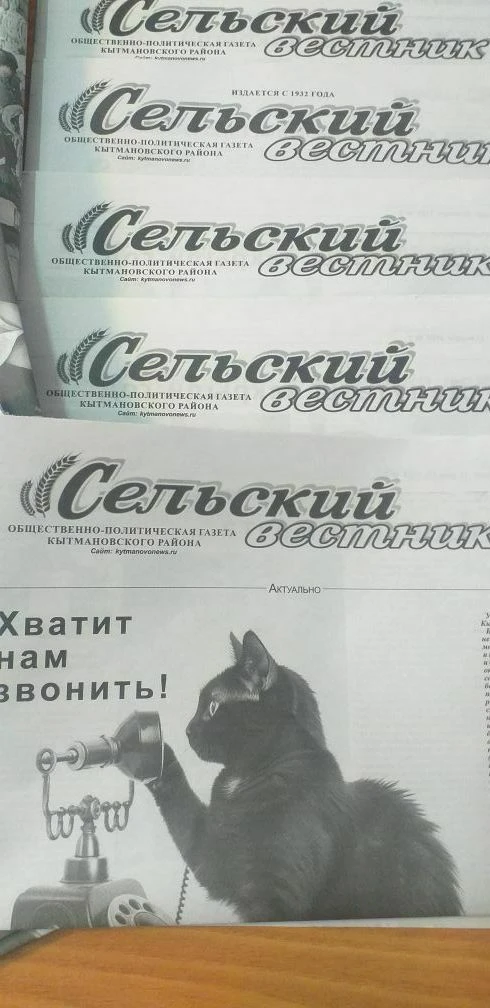 Редакция газеты "Сельский вестник" — канал в мессенджере MAX
