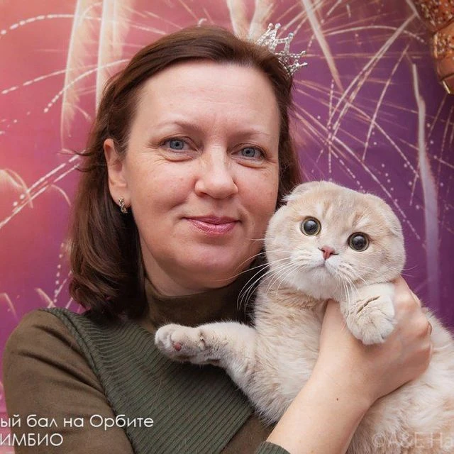 Шотландские котята МакСел Наталит — канал в мессенджере MAX