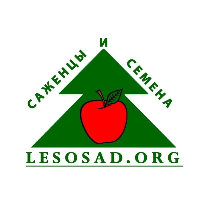 lesosad.org - саженцы, семена, товары для дачи