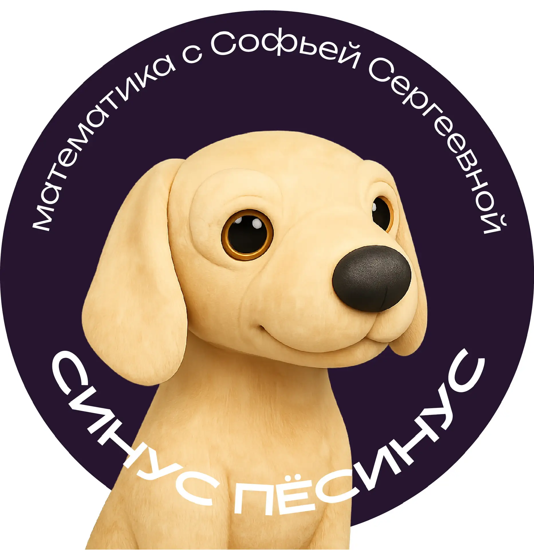 синус пёсинус
