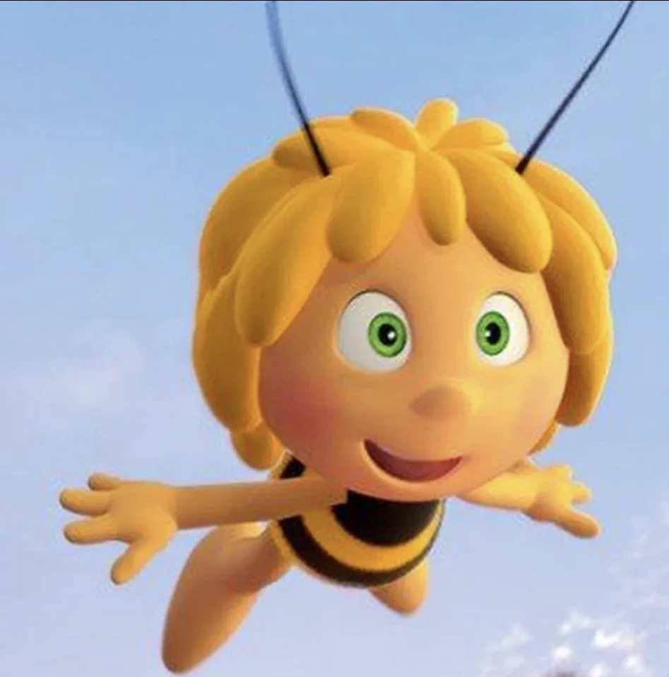 МДОУ "ЦРР - детский сад № 107 "Пчелка"