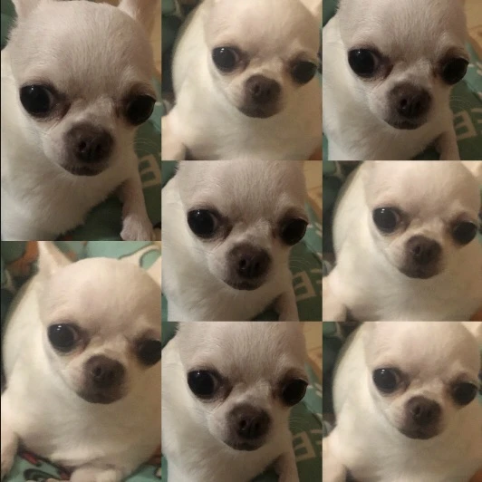 Логотип канала