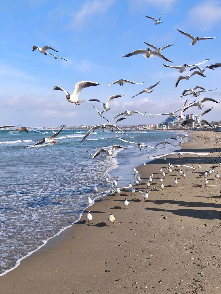 Море_Внутри❤️