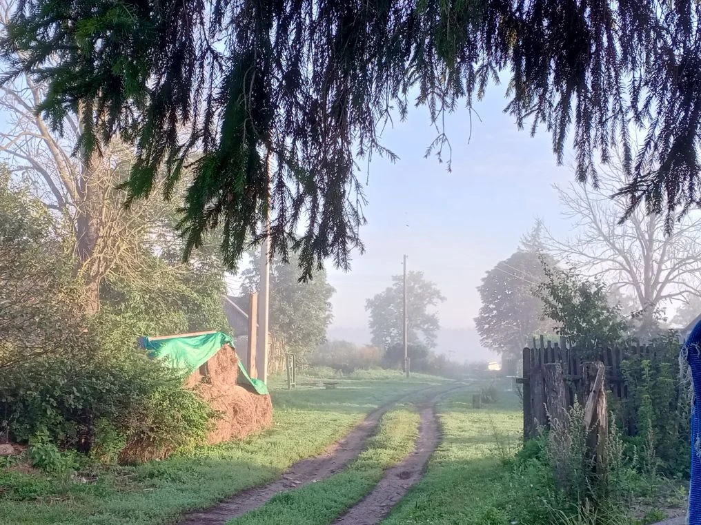 Сельская Романтика 🐄🐖🐣🦆🪿🌻🦟🪰🐝🕊️ — канал в мессенджере MAX