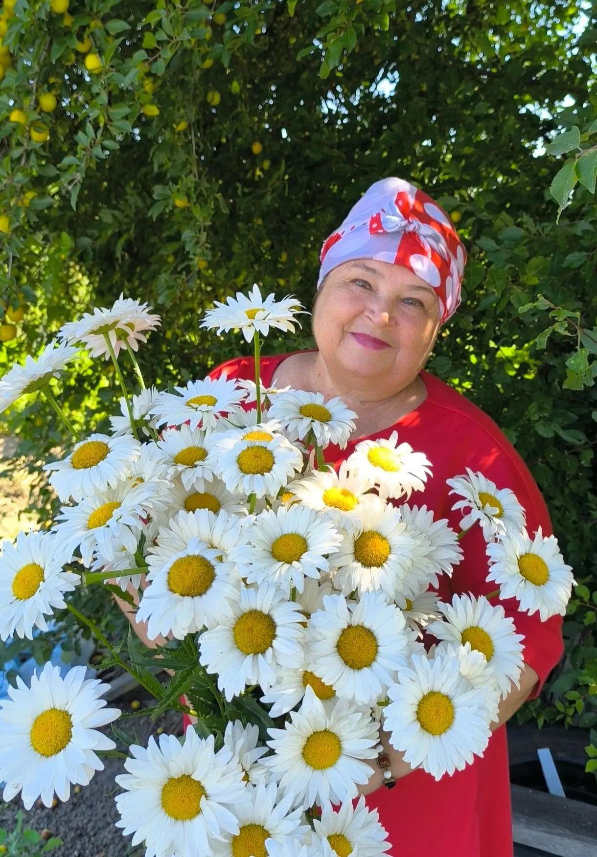 ТЕТЕЧКА ВАЛЕЧКА