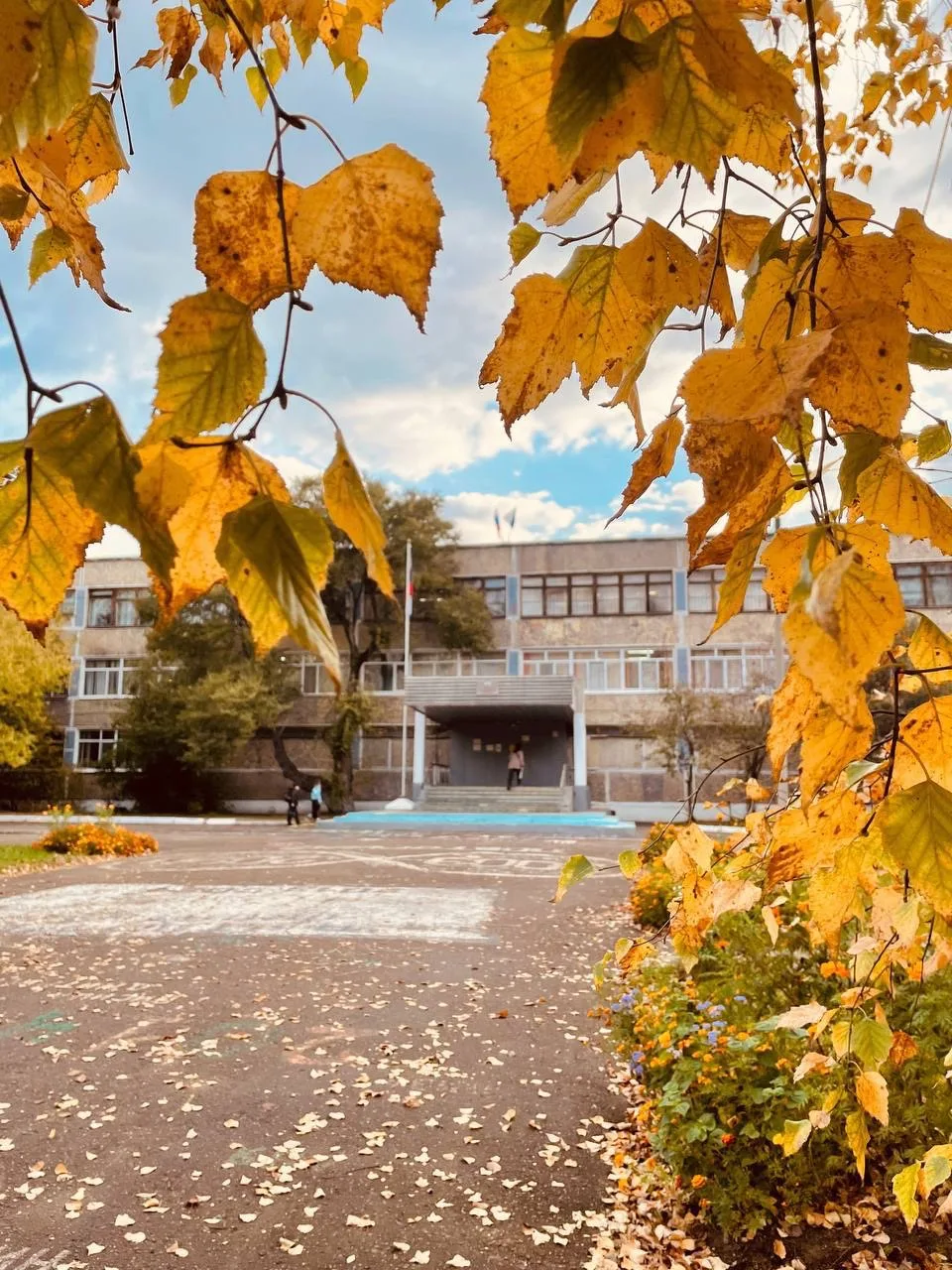 Муниципальное общеобразовательное учреждение средняя общеобразовательная школа N 42