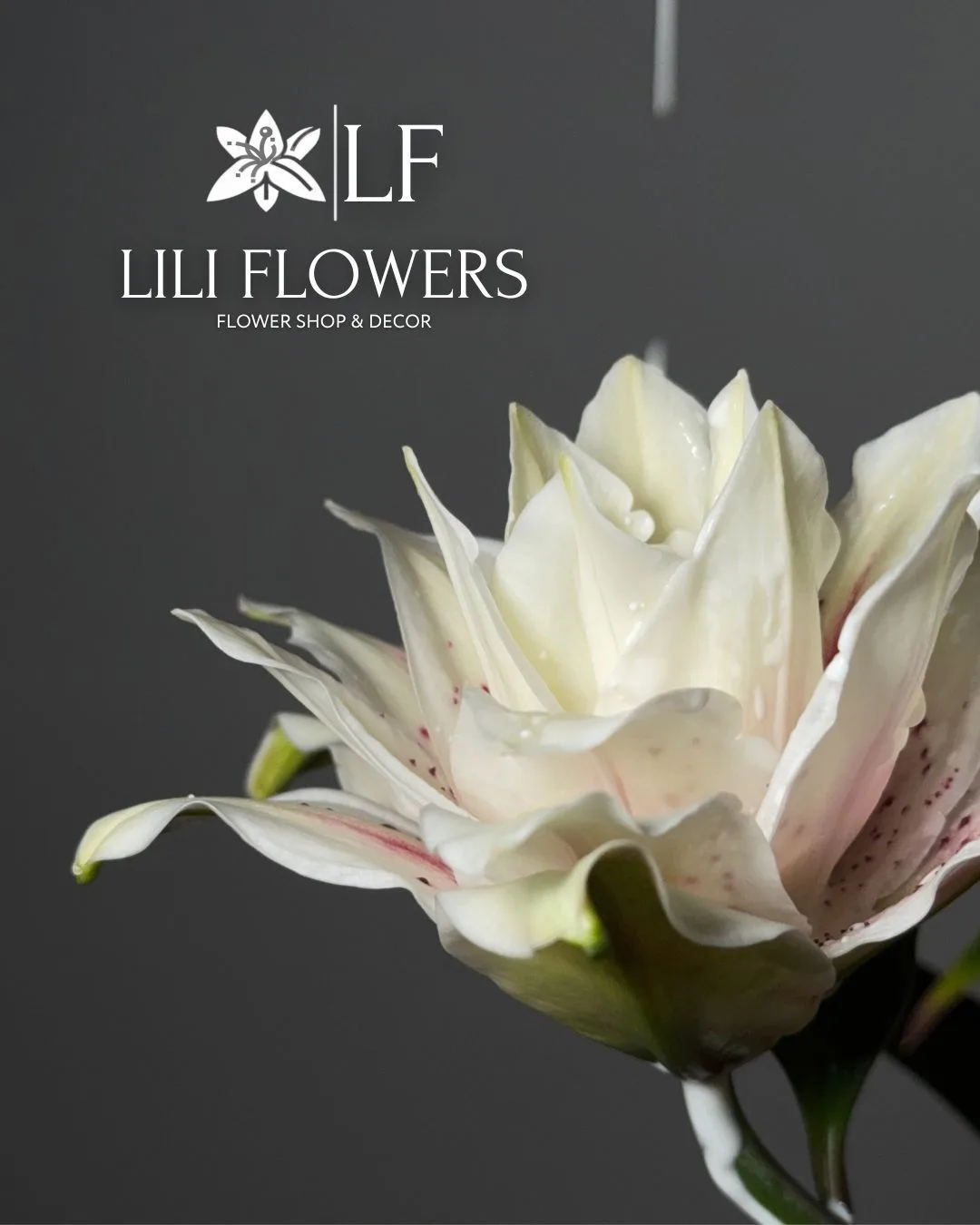 Студия цветов и декора LILI FLOWERS