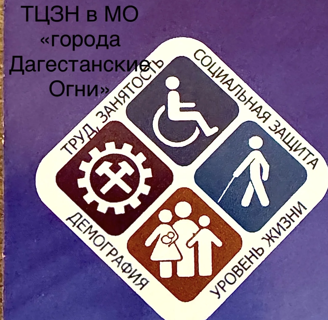 ТЦЗН  в  муниципальном образовании «город Дагестанские Огни»
