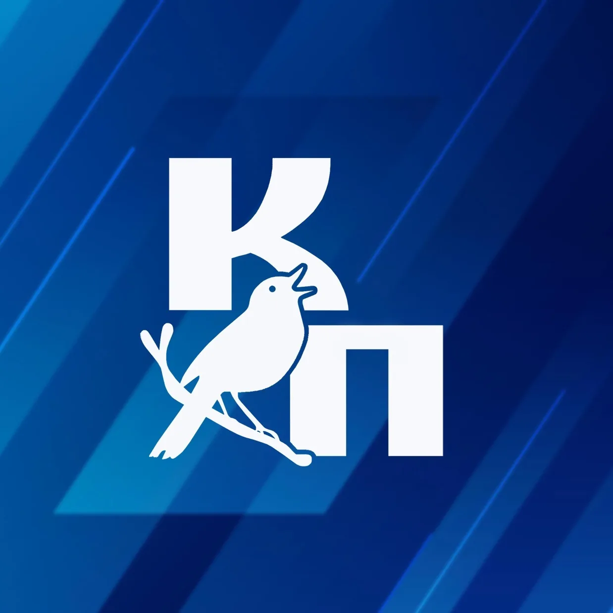 Курская правда — канал в мессенджере MAX