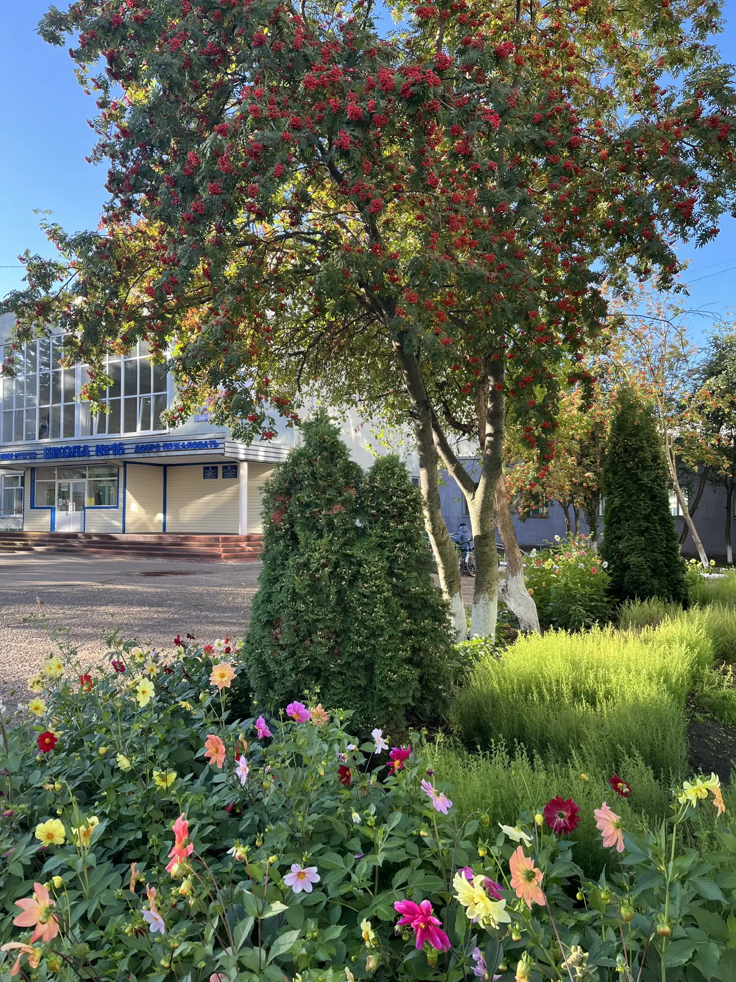 МОАУ СОШ №16 ГО г.Нефтекамск