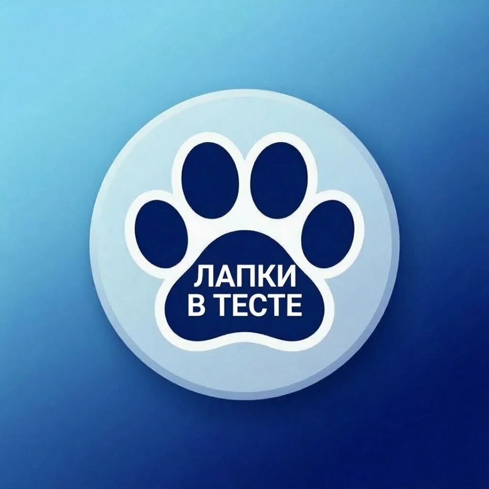 Лапки в Тесте — канал в мессенджере MAX