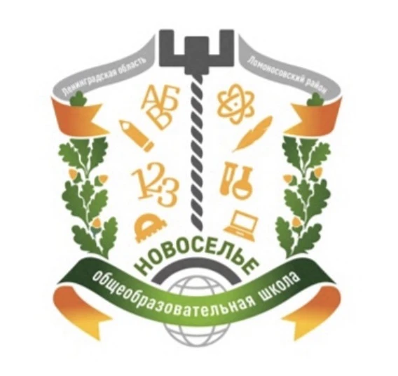 МОУ "Новосельская школа"