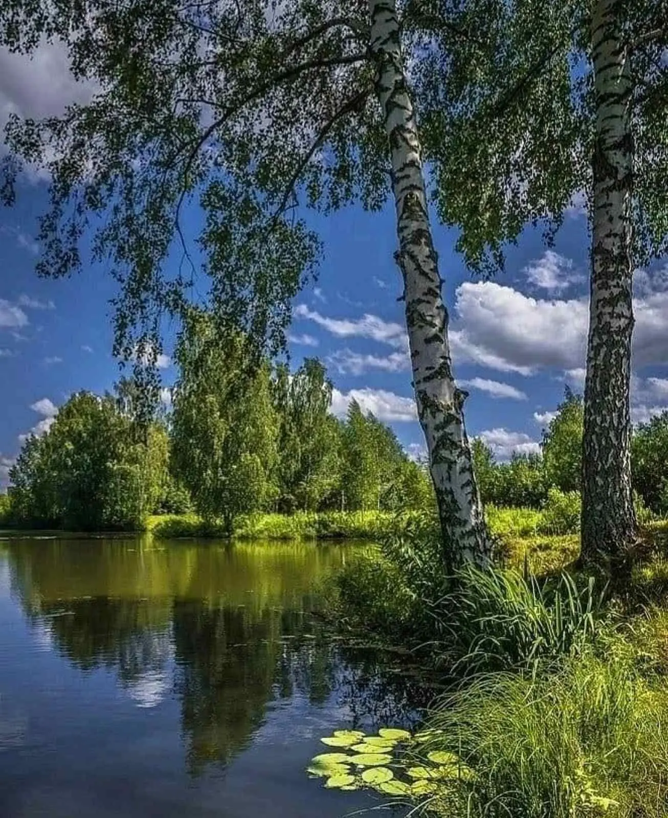 МО Никольский сельсовет