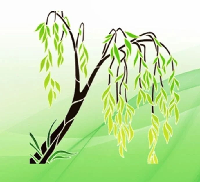 МДОУ № 92 "Ивушка"