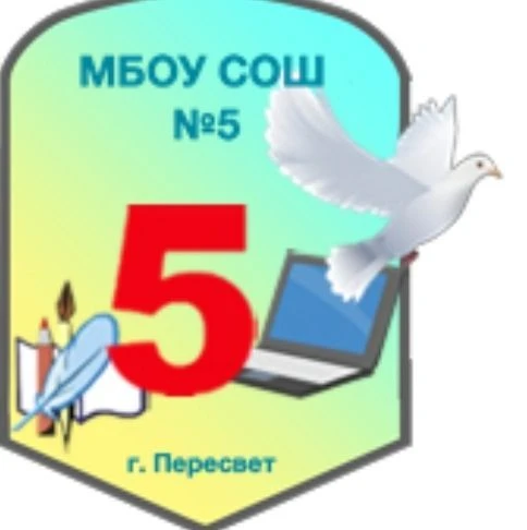 Школа №5 г. Пересвета