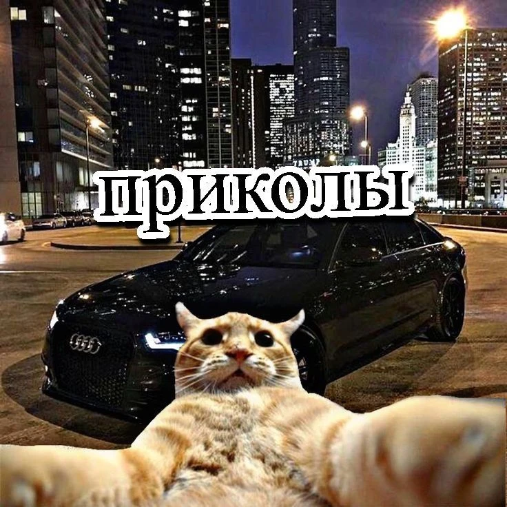 Логотип канала