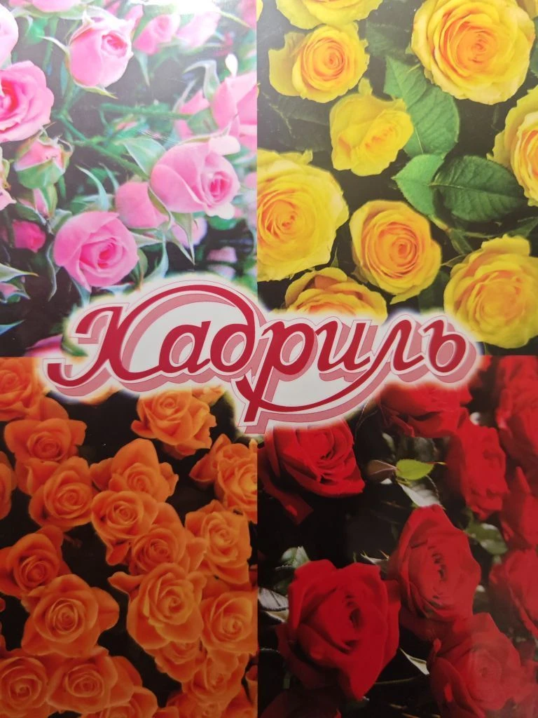 КАДРИЛЬ ЖЕНСКАЯ ОДЕЖДА