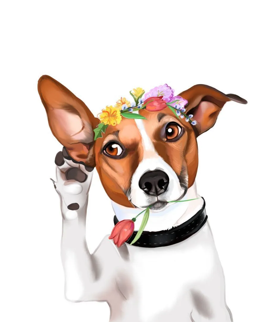 Джек Рассел терьер