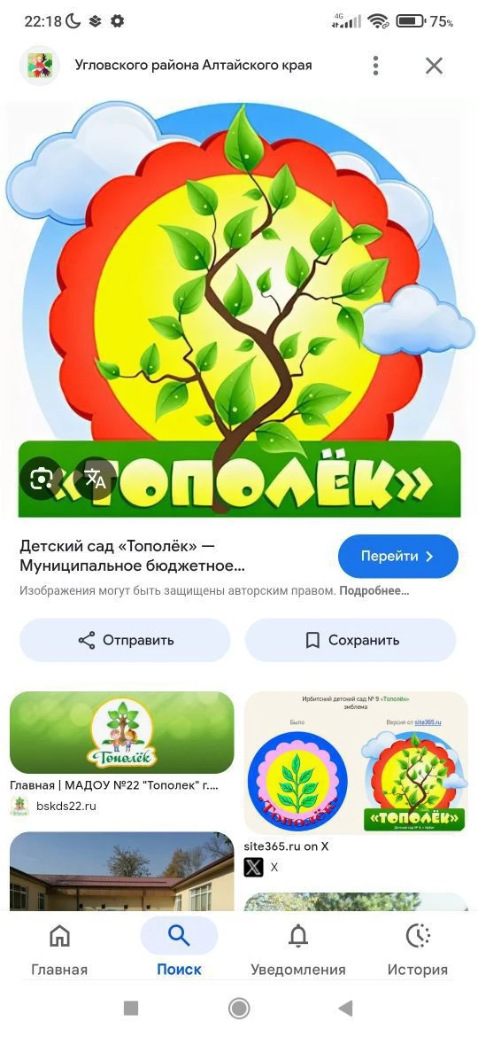 МБДОУ "Бородинский детский сад "Тополек"