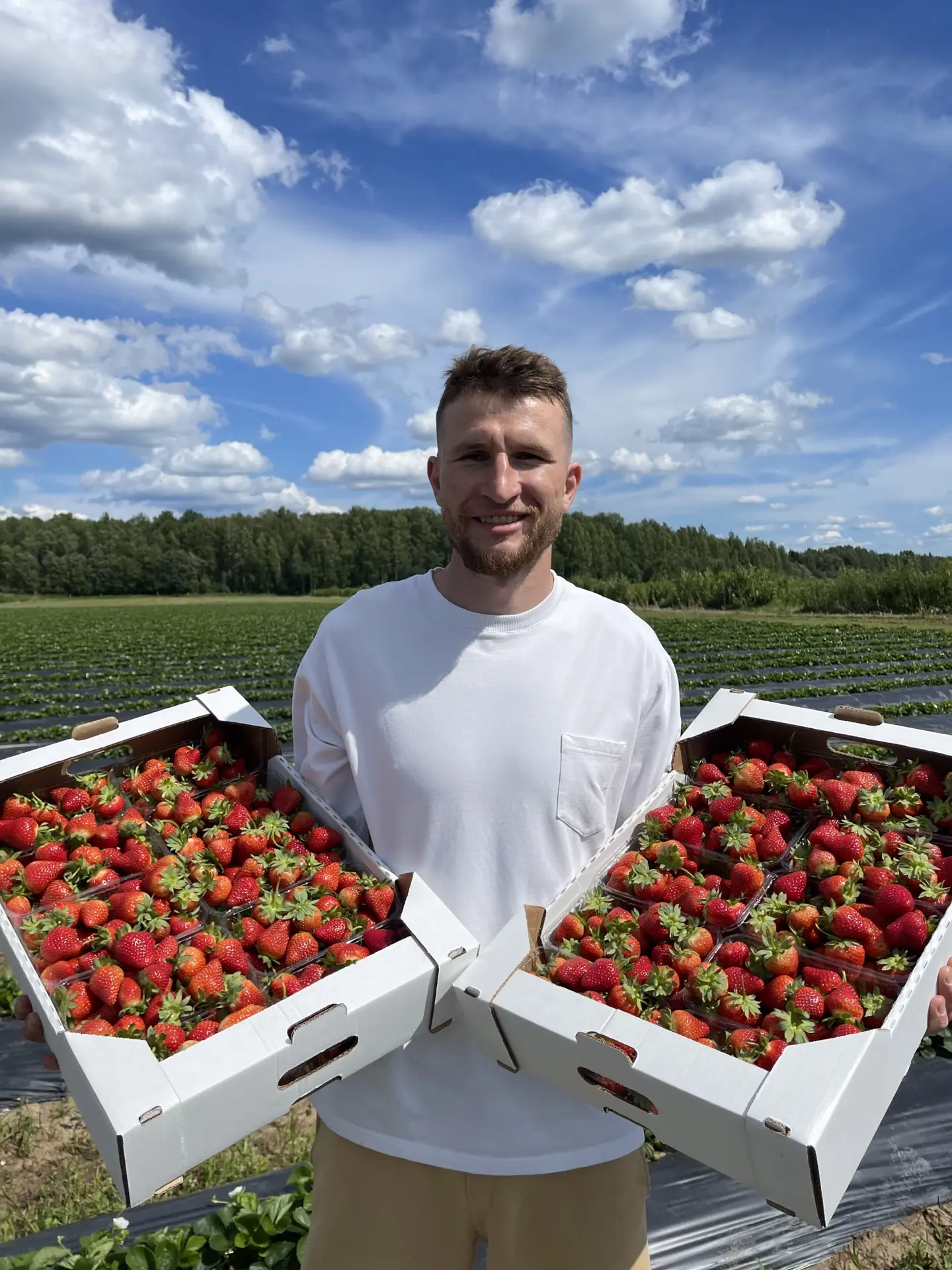 🍓Добрый Фермер🍓