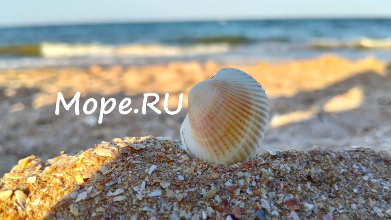 🔆 Отдых на Азовском море: Гостиницы, отели, поездки