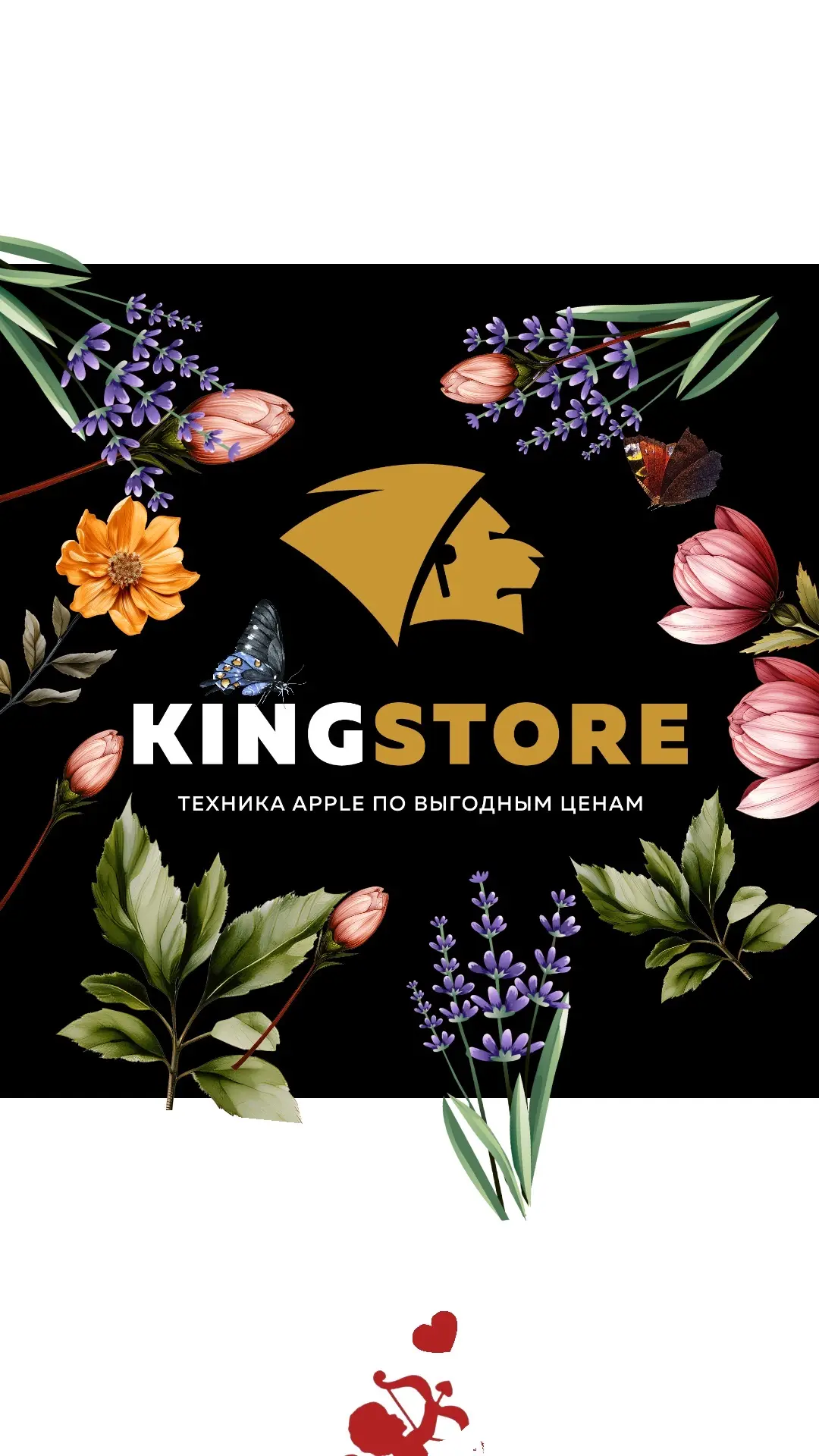 KINGSTORE | Ваш Apple-гид в Омске 🍏