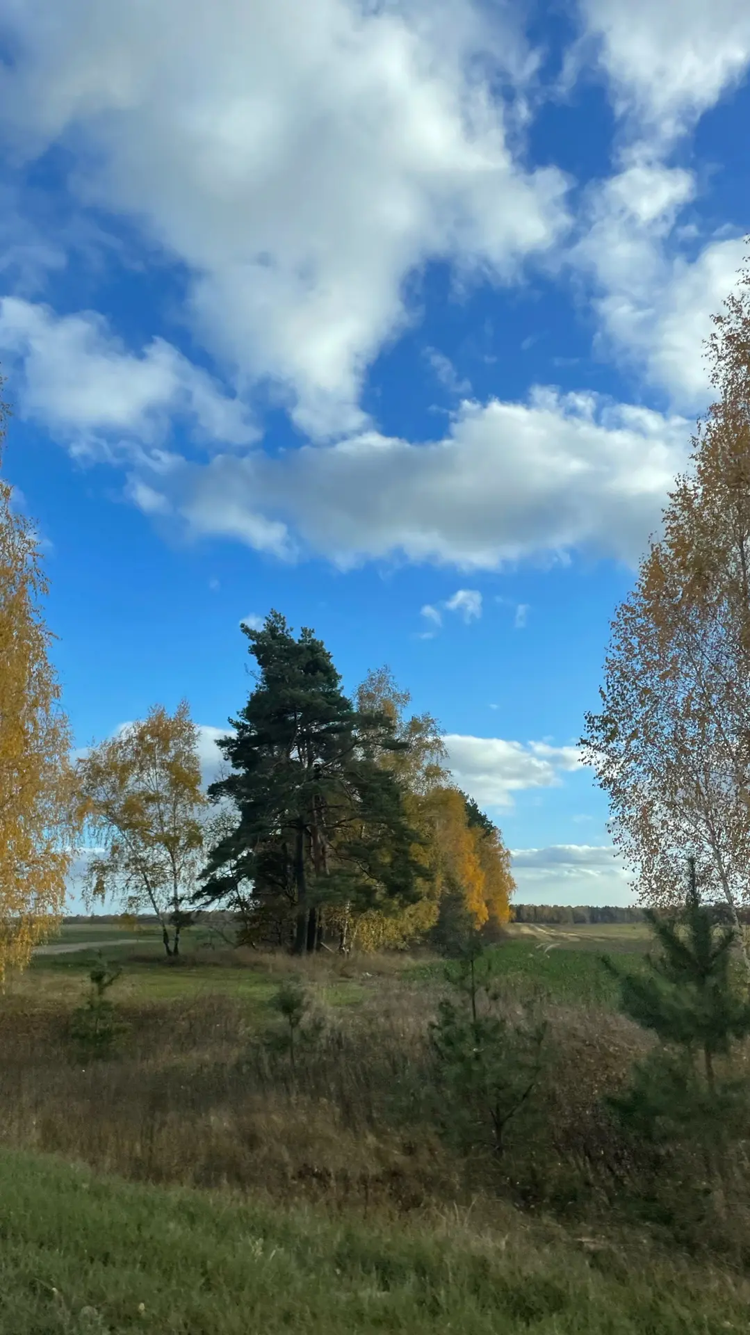 МБОУ «Пятовская СОШ»