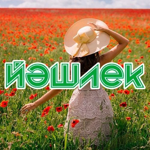 «ЙӘШЛЕК» гәзите - газета «ЙЭШЛЕК» — канал в мессенджере MAX