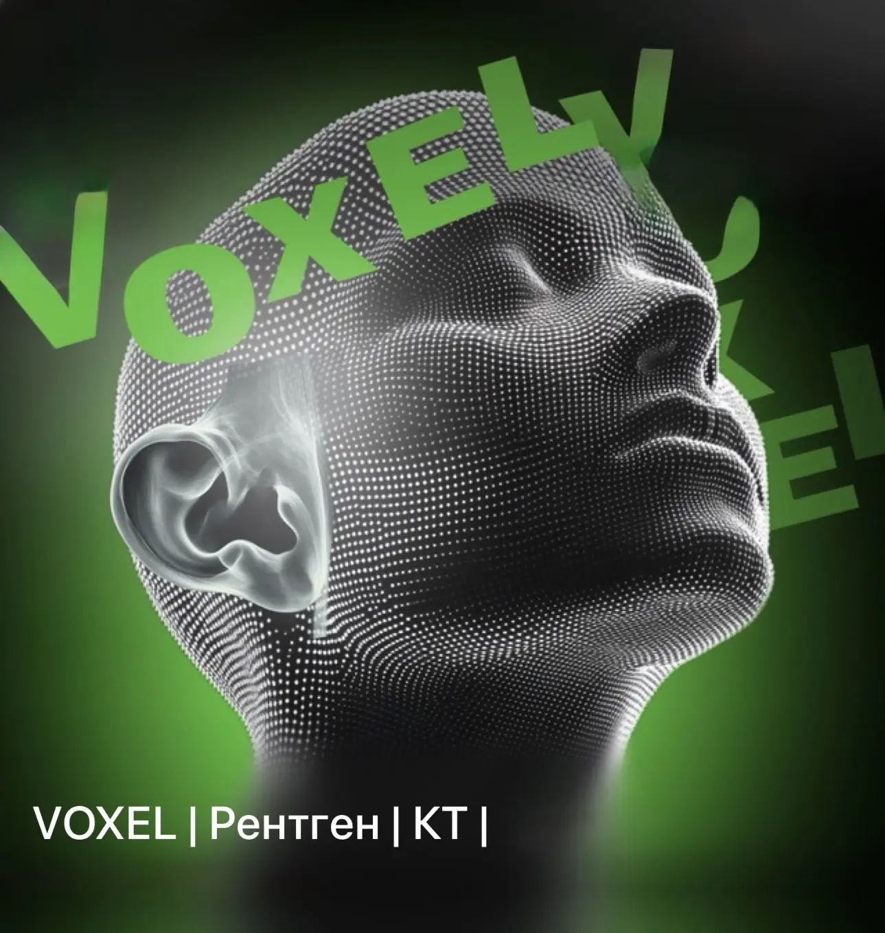 MAX-канал VOXEL Томск