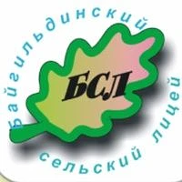 МБОУ Байгильдинский сельский лицей им. Исмагилова Р.С.