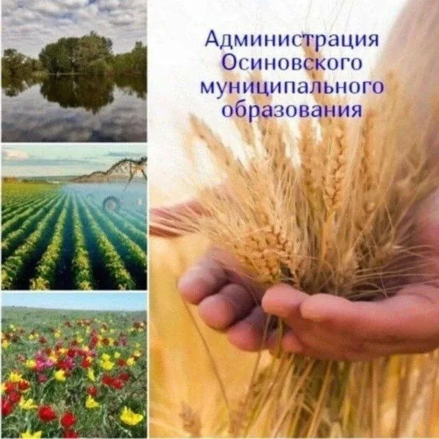 Администрация Осиновского муниципального образования — канал в мессенджере MAX