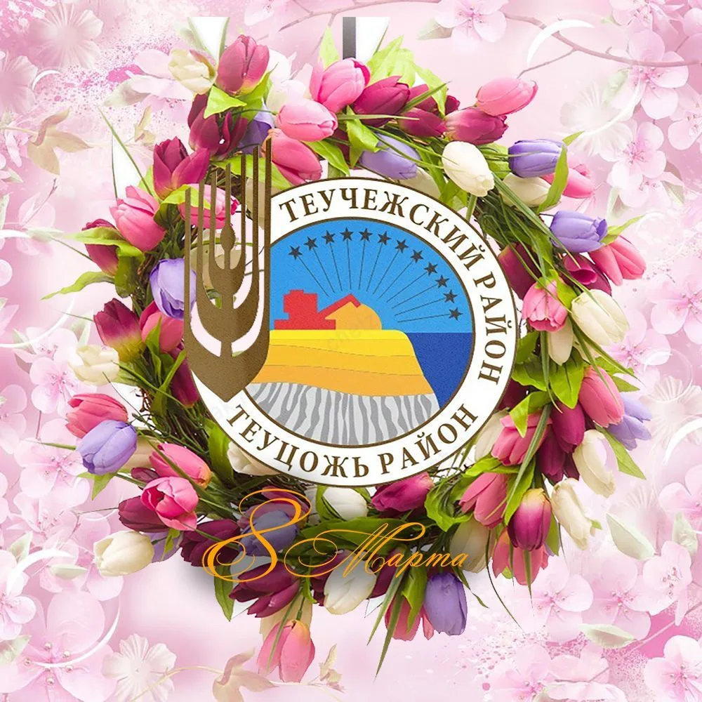 Администрация МО "Теучежский район"