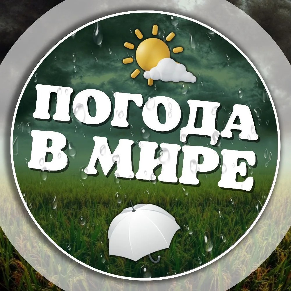 Погода в мире — канал в мессенджере MAX