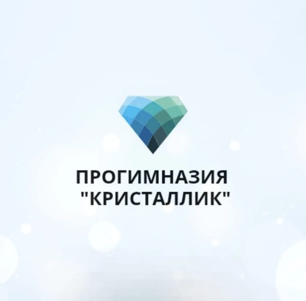 МАОУ "Прогимназия Кристаллик"