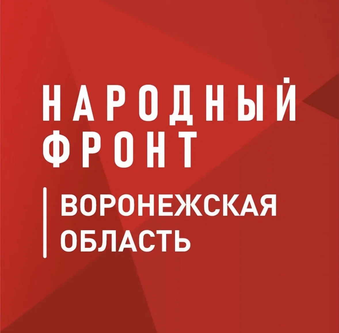 Народный фронт | Воронежская область — канал в мессенджере MAX