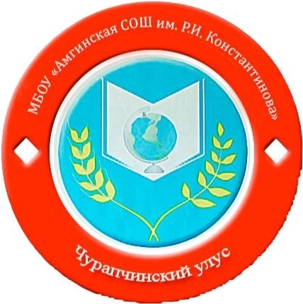 МБОУ «Амгинская СОШ им. Р.И. Константинова»