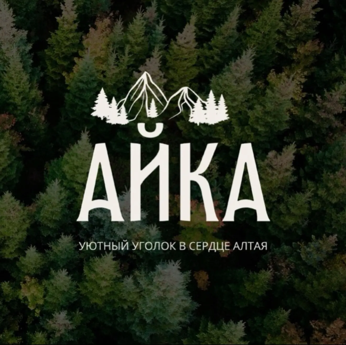 База отдыха «Айка» | АЛТАЙ — канал в мессенджере MAX