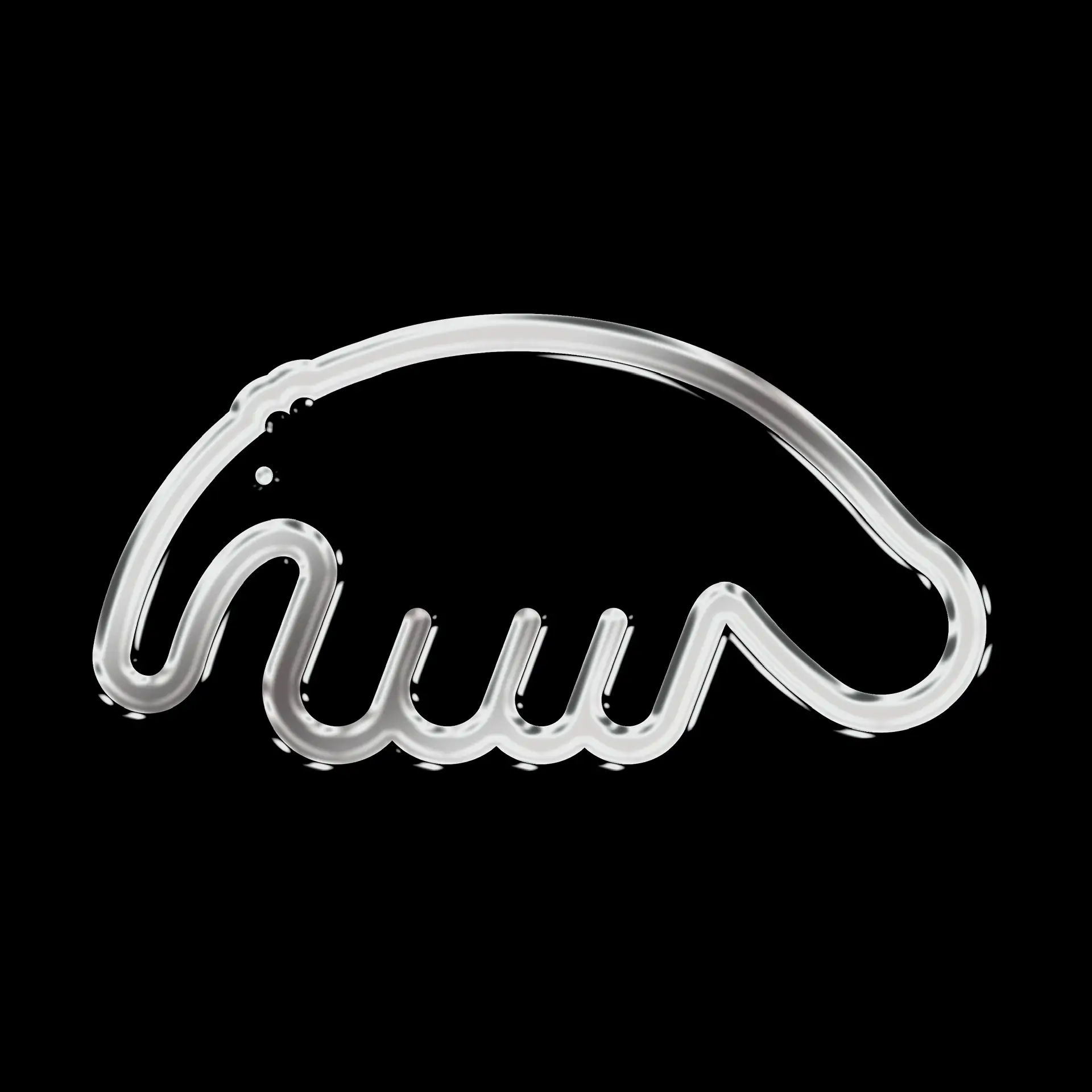 Anteater – уличная одежда