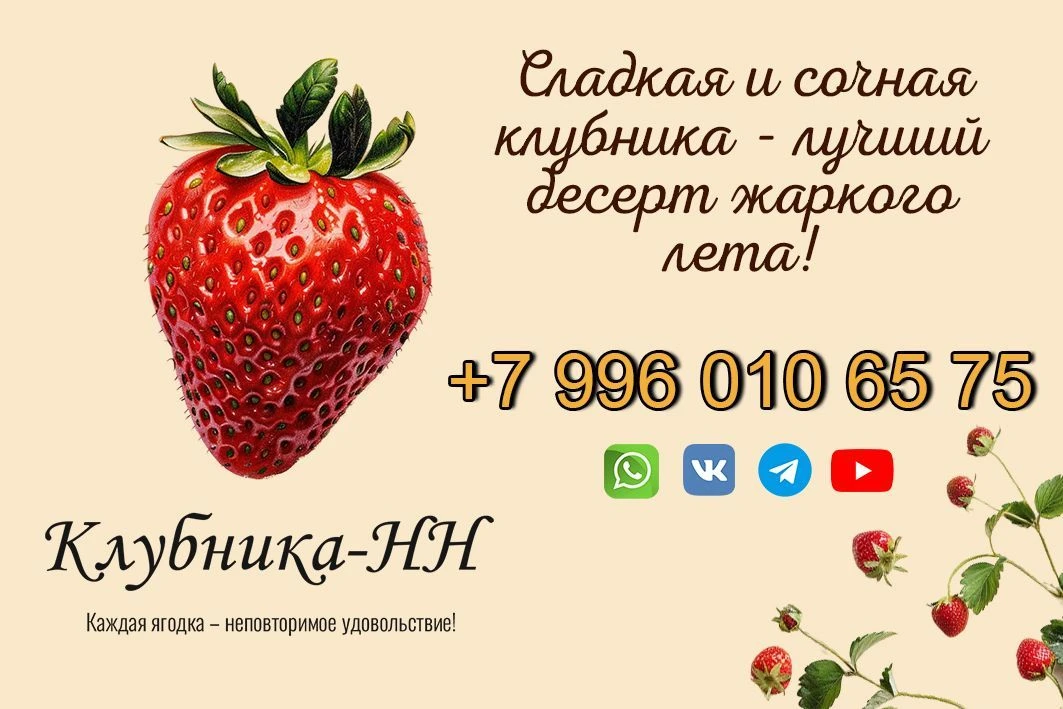 Клубника НН — канал в мессенджере MAX