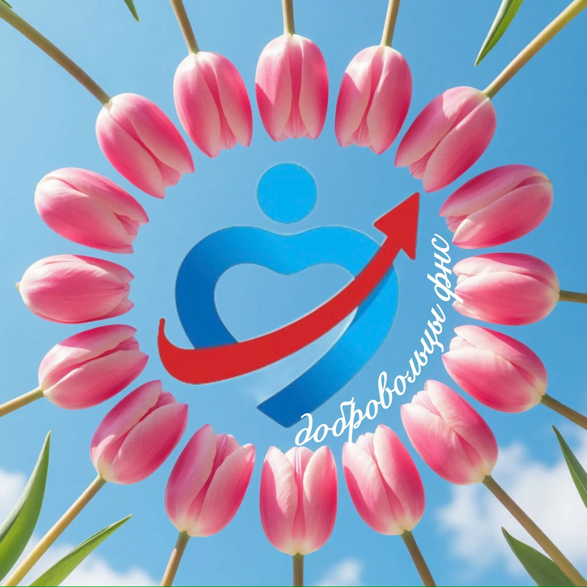 ДОБРОВОЛЬЦЫ ФНС