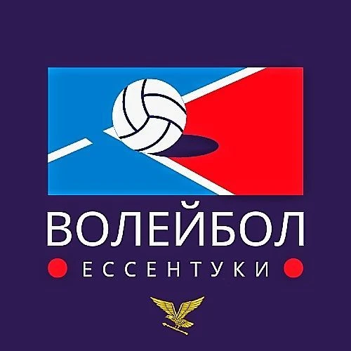 ВОЛЕЙБОЛ ЕССЕНТУКИ — канал в мессенджере MAX
