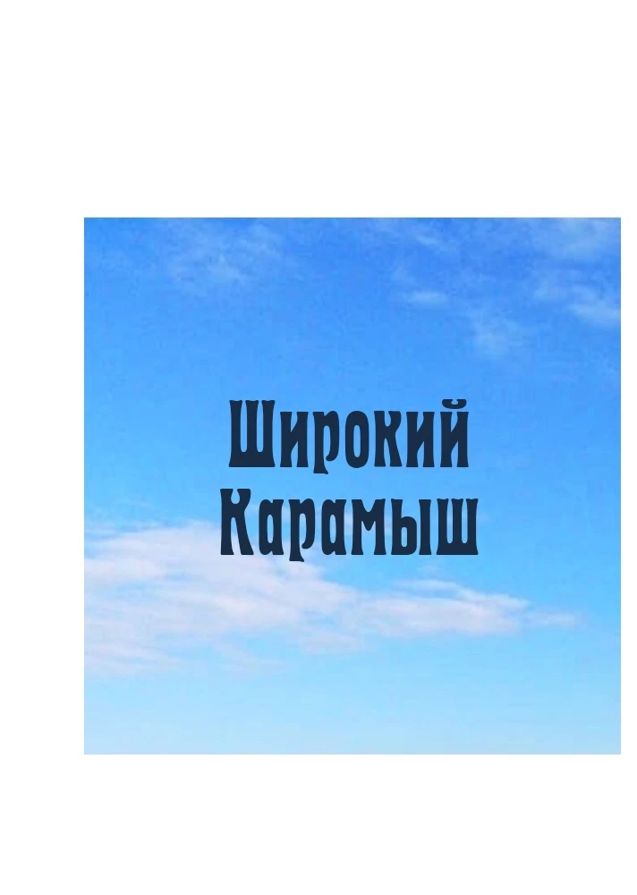Администрация Ширококарамышского сельского поселения Лысогорского муниципального района — канал в мессенджере MAX