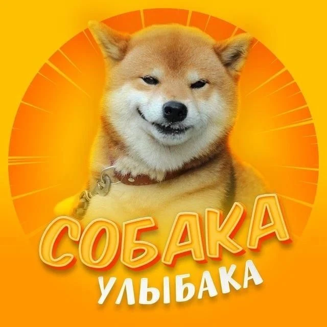 Собакен | Животные Юмор Смех Улыбка Приколы Питомцы Домашние Животные Отдых Развлечение Смех Коты Видео | Смешные коты собаки 2026 | Мемы животных | Угар с питомцами | Вирусные видео собак — канал в мессенджере MAX