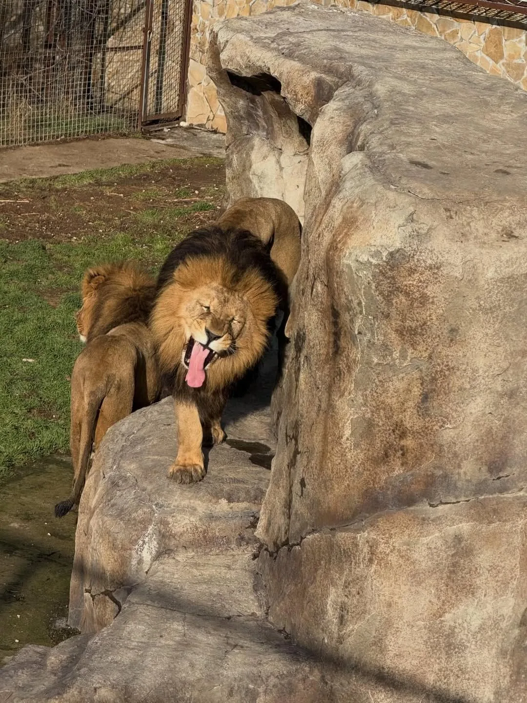 Тайган и Крым!