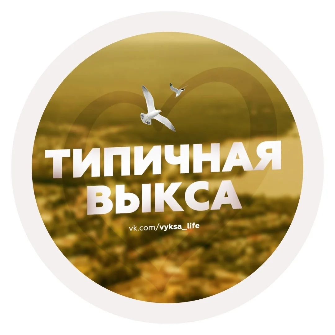 Типичная Выкса — канал в мессенджере MAX