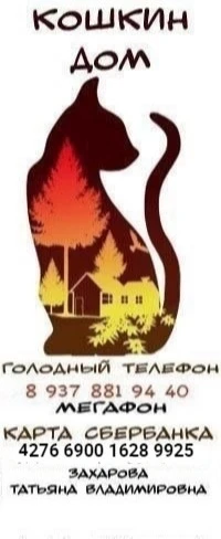 КОШКИН ДОМ - помощь бездомным кошкам Ульяновска