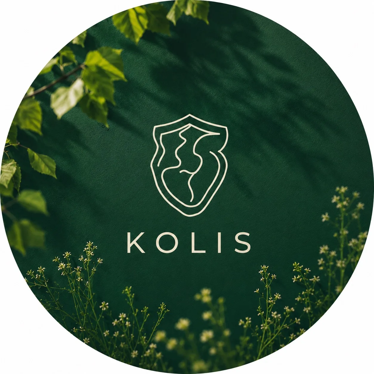 KOLIS 🌿 — канал в мессенджере MAX