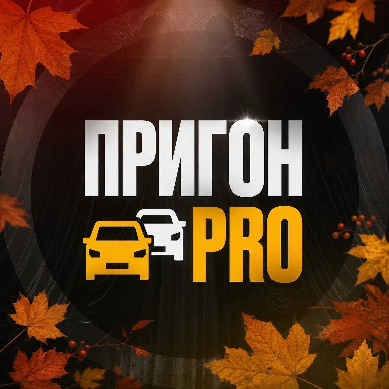 ПригонПРО - авто из Кореи и Китая — канал в мессенджере MAX