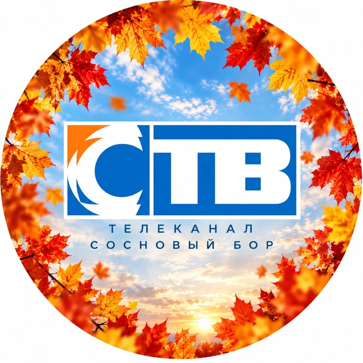 Телеканал СТВ. Новости Соснового Бора. — канал в мессенджере MAX
